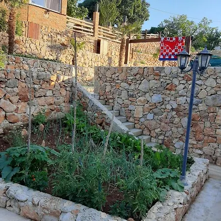 Jelica * Polje (Krk)