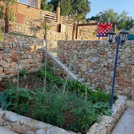 Jelica * Polje (Krk)